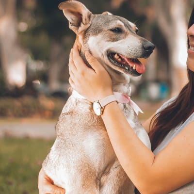 woman playing with dog