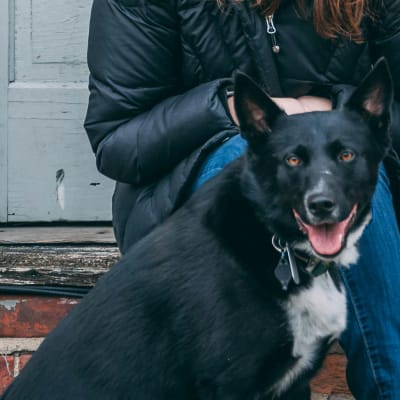 woman sitting outside the house beside dog