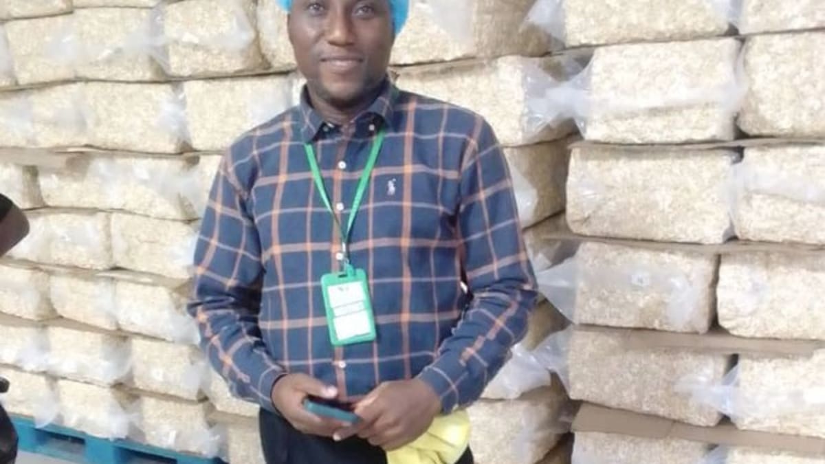 Premium Nigerian Processed Cashews: World-Class Taste, Pure Quality, Explosive Potential!