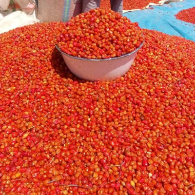 Dried Pepper