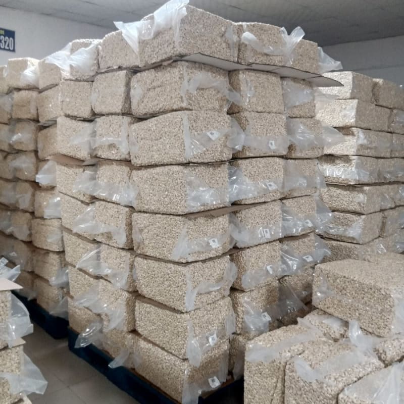 Processed Cashew Nuts (w240)