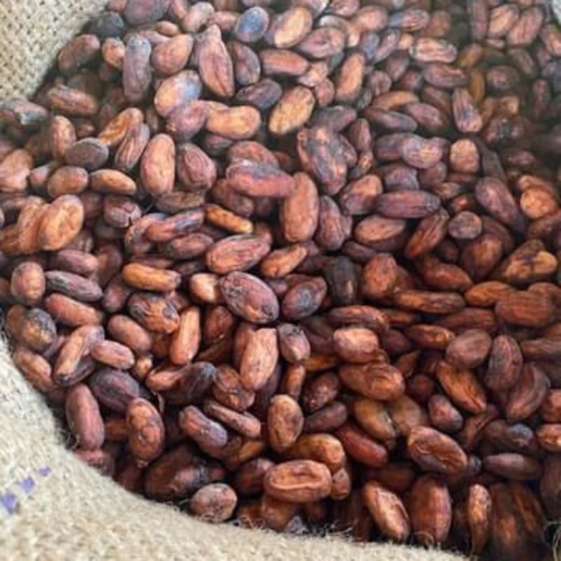 Cocoa Beans