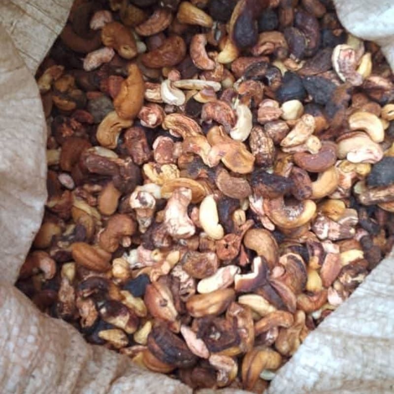 Rejected Cashew Nuts