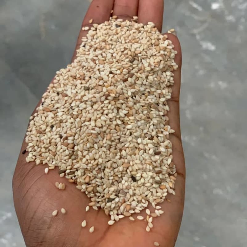 Sesame