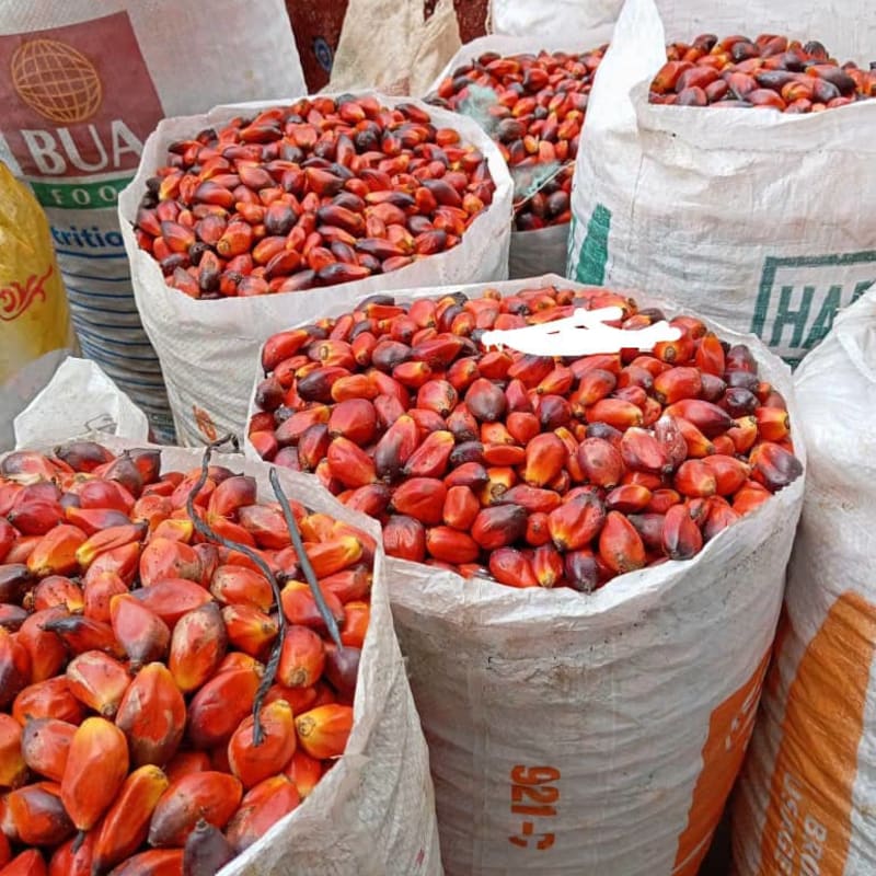 Premium Palm Fruits