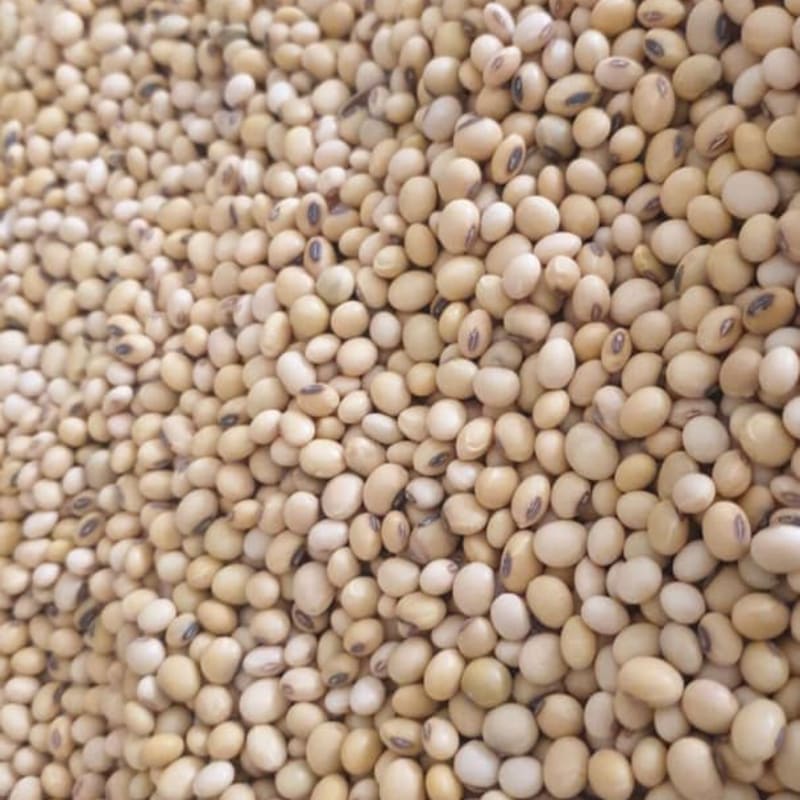 Soyabeans (delivery)