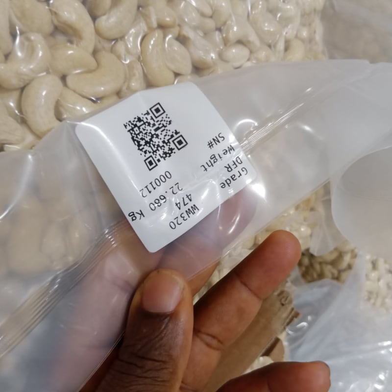 Processed Cashew Nuts (w320)