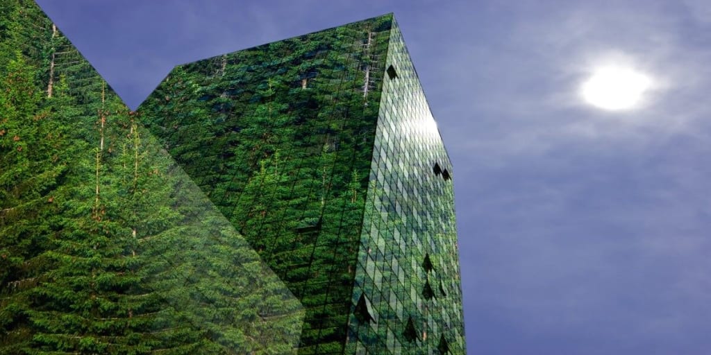 Office buildings covered in green foliage under the bright sun