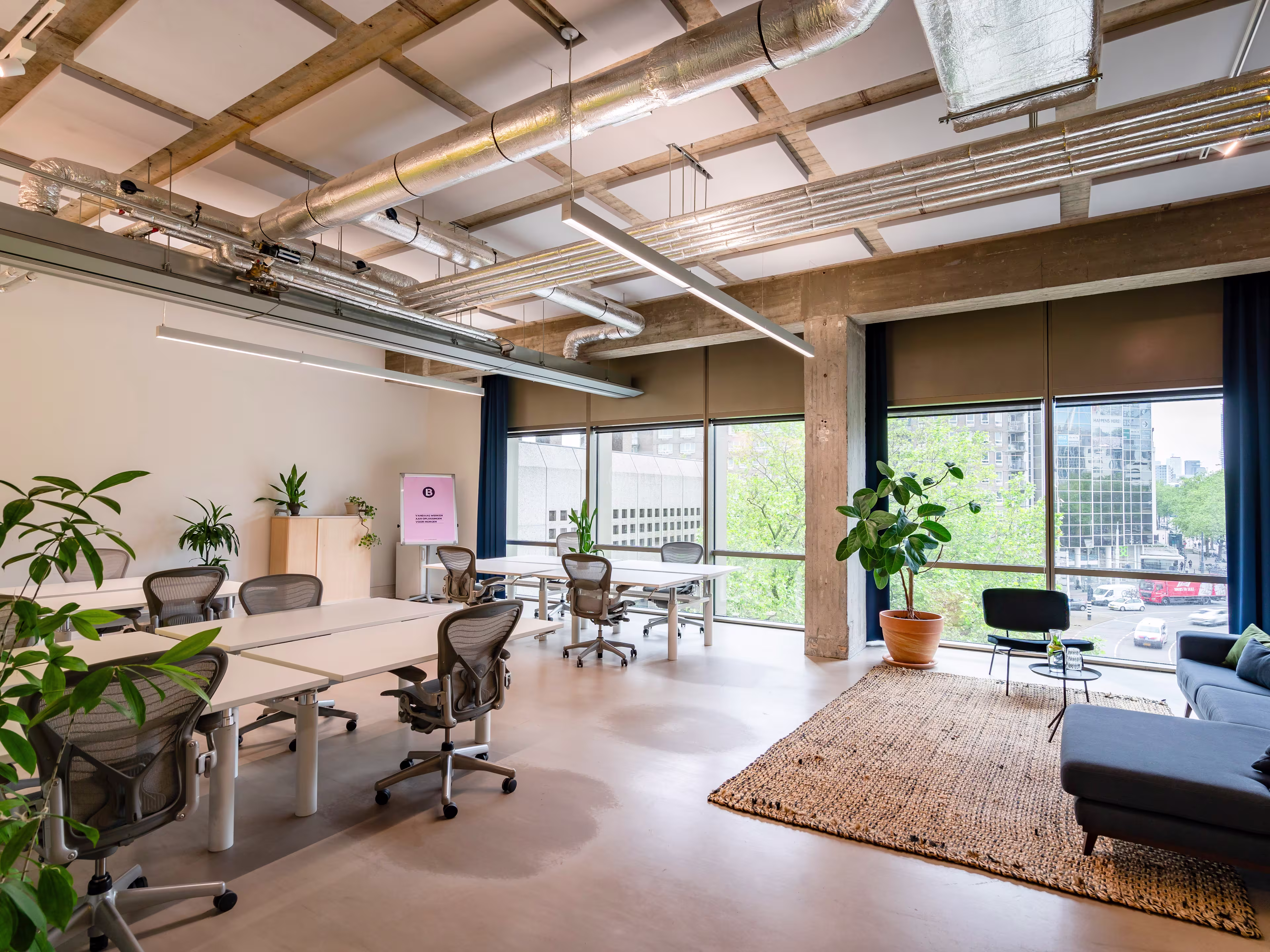 Hofplein 19 - Mr. Green