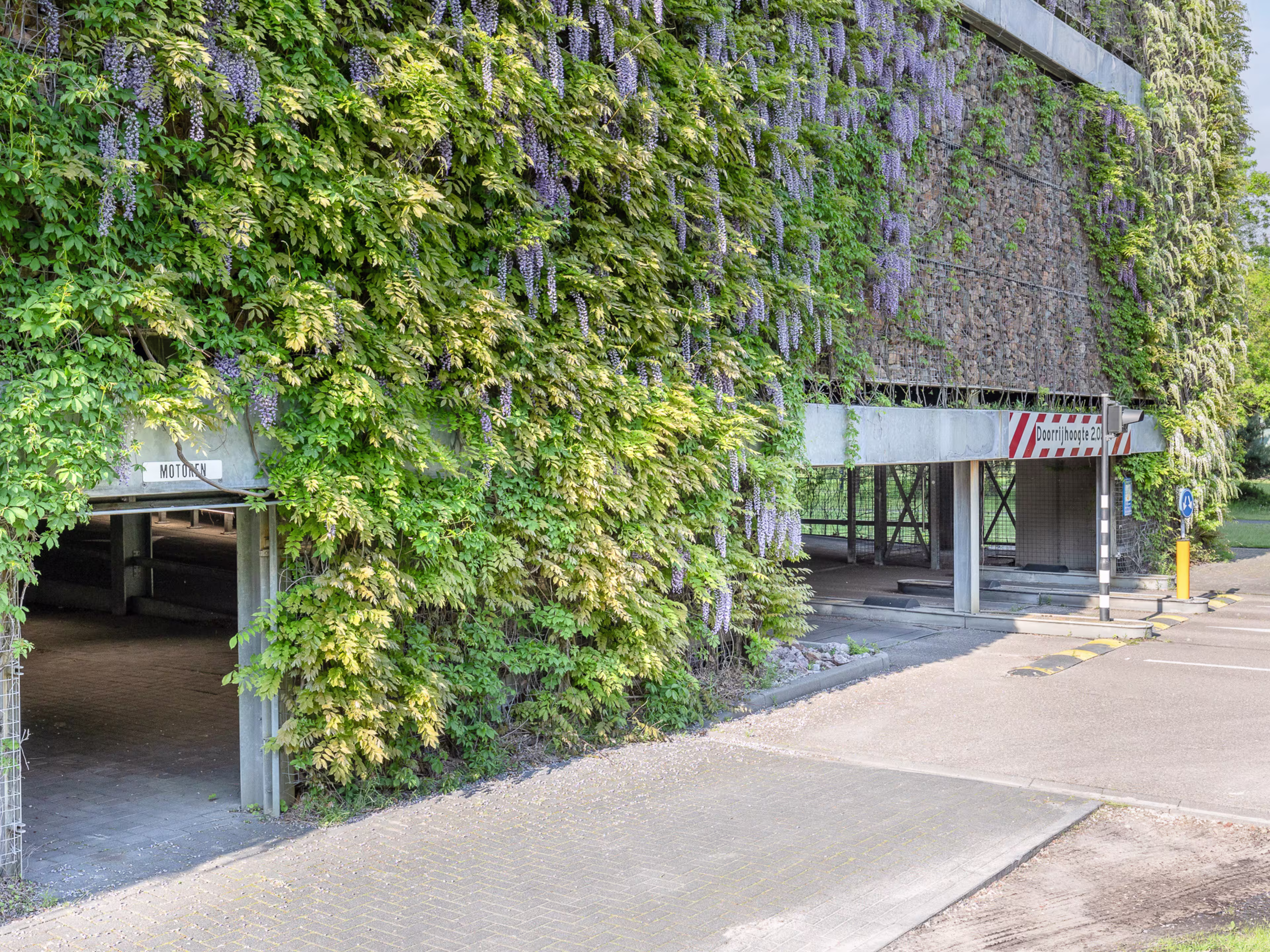 High Tech Campus 52