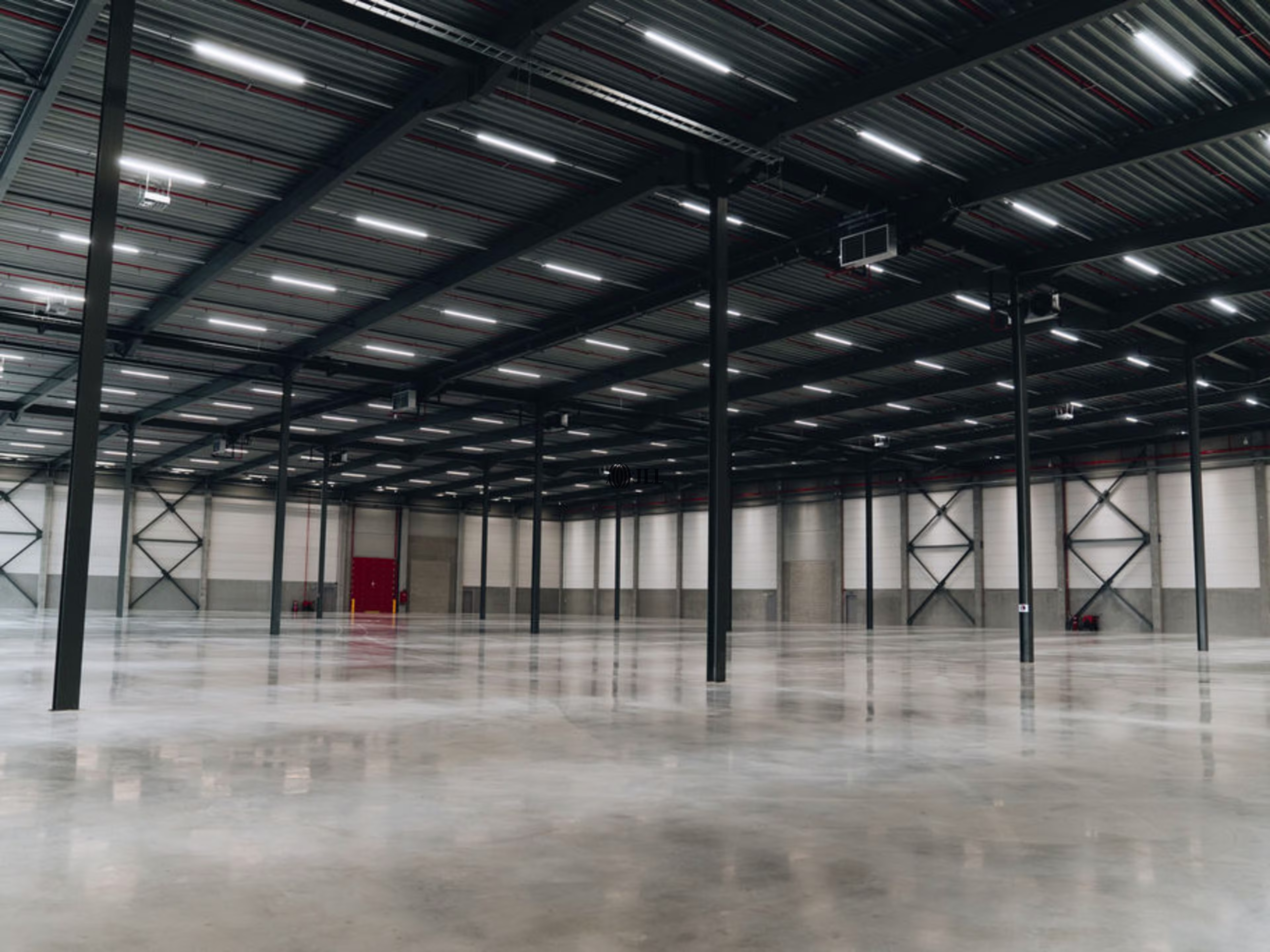ZEEBRUGGE GREEN LOGISTICS
