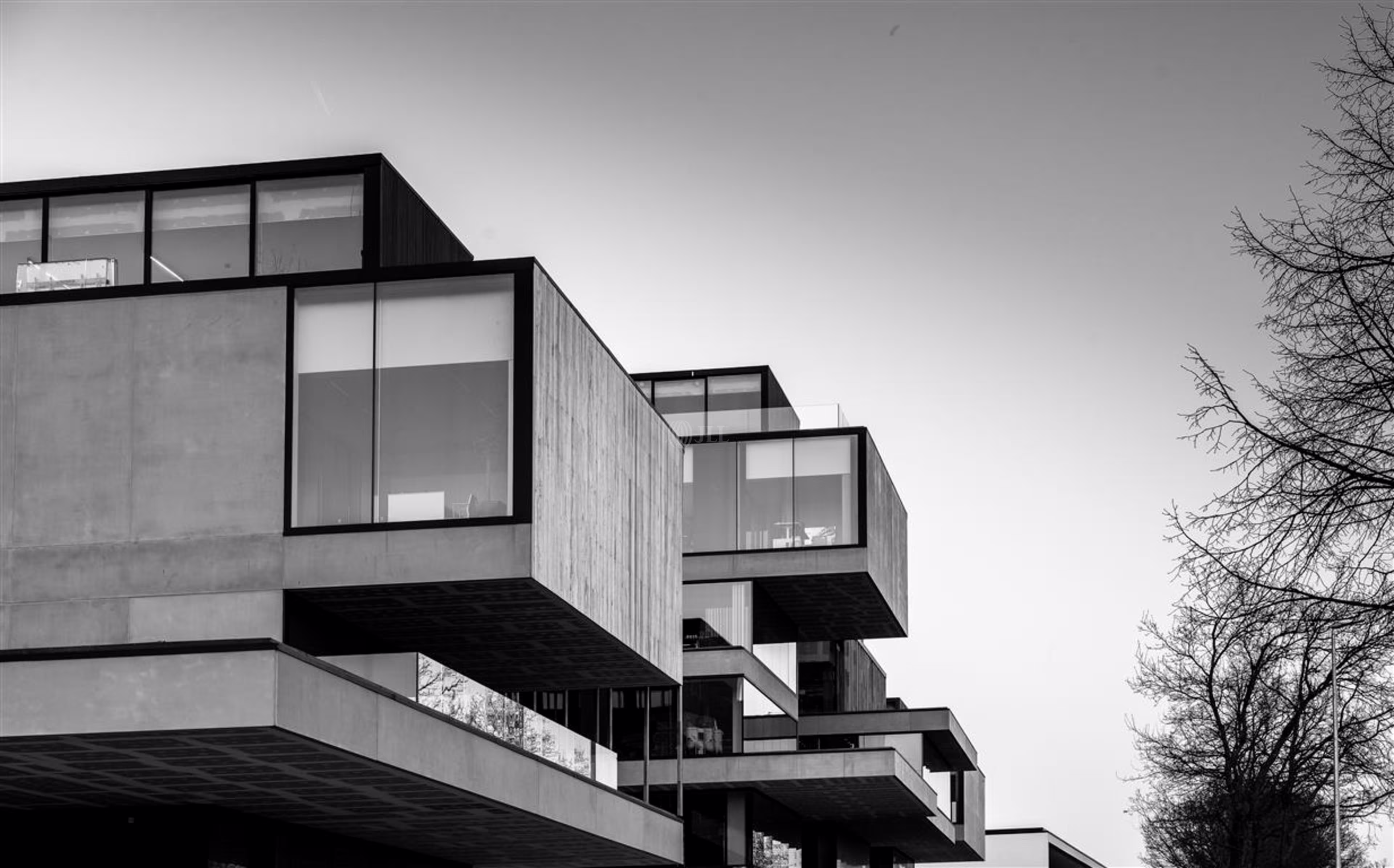 Vredestraat 53