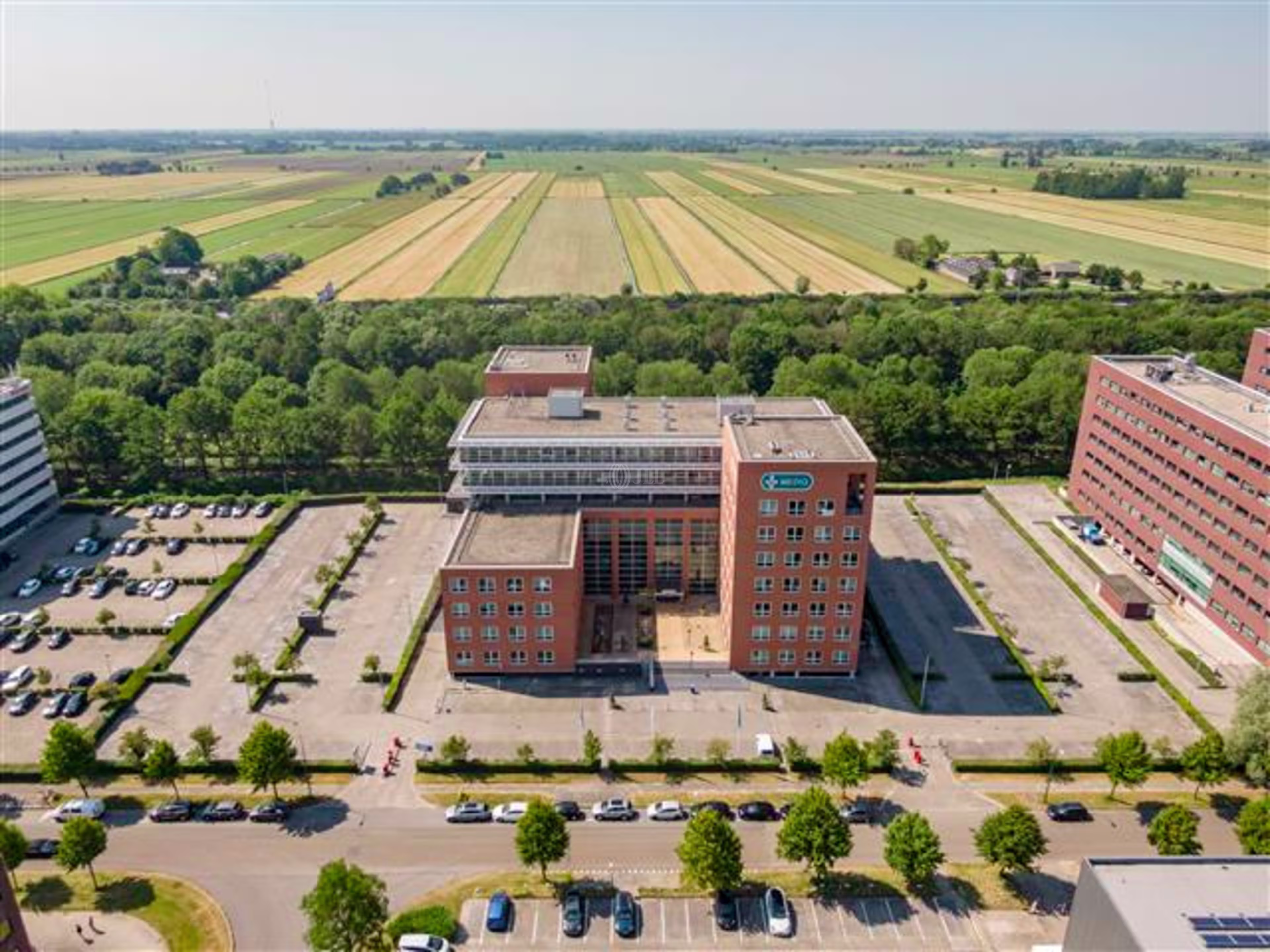Rijnzathe 10