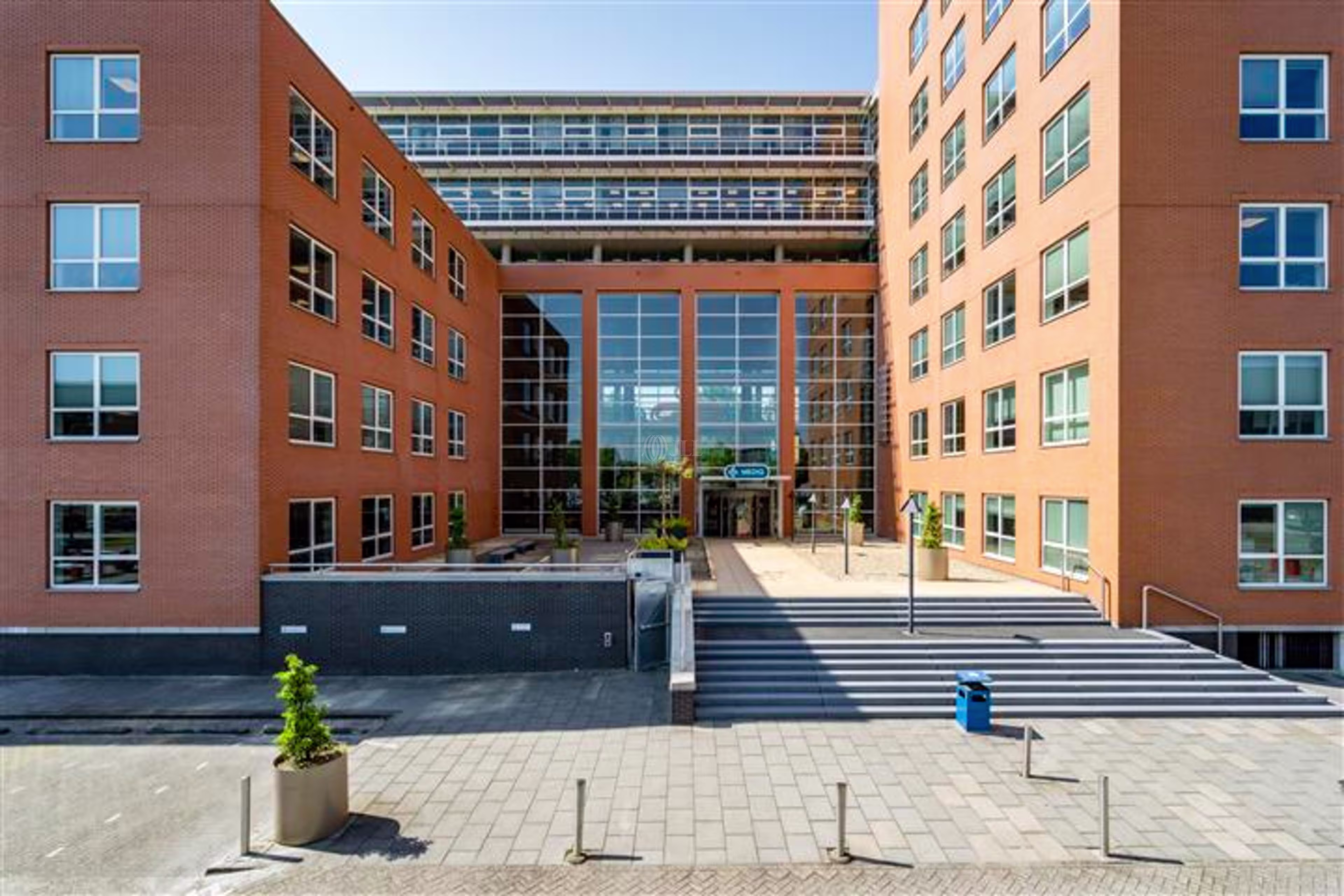 Rijnzathe 10