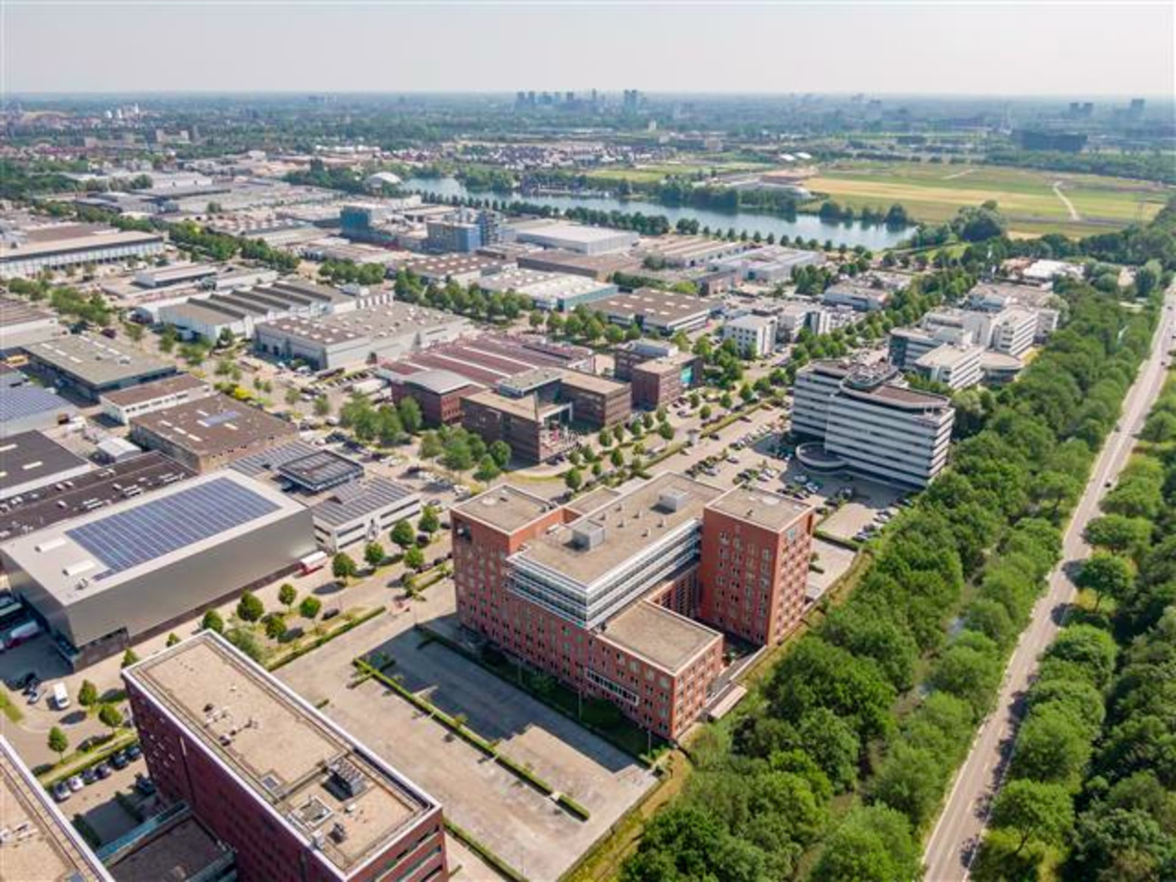 Rijnzathe 10