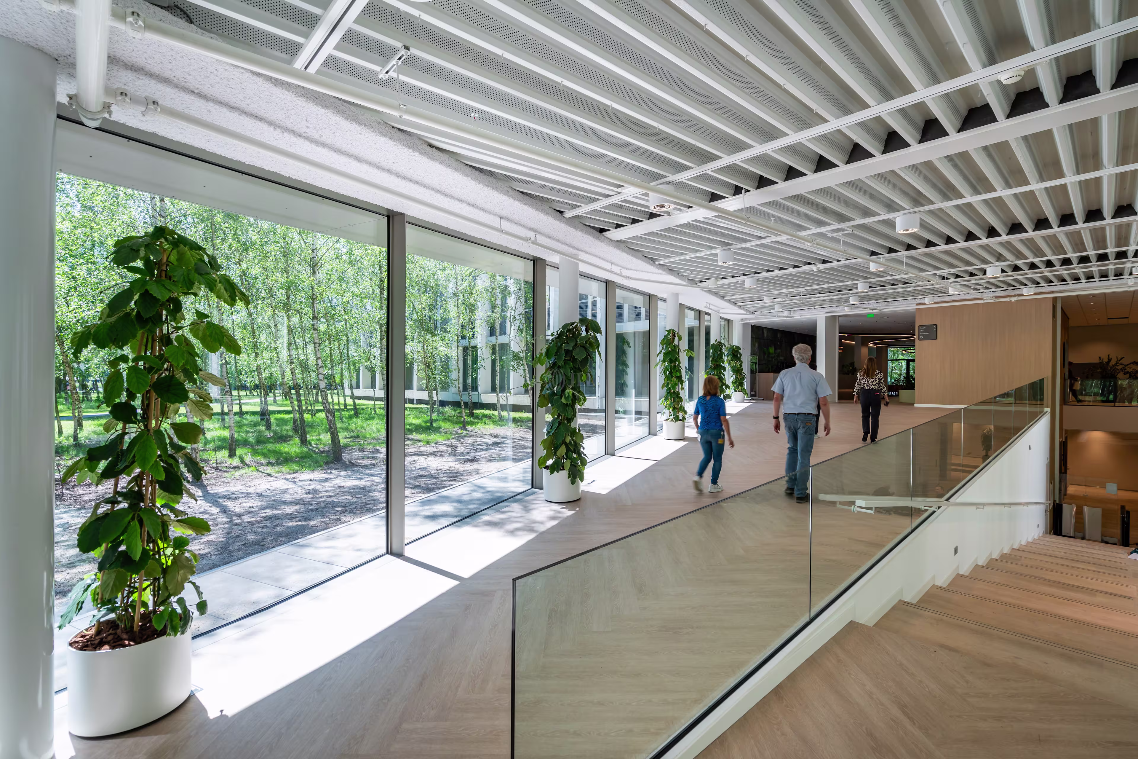 High Tech Campus 37