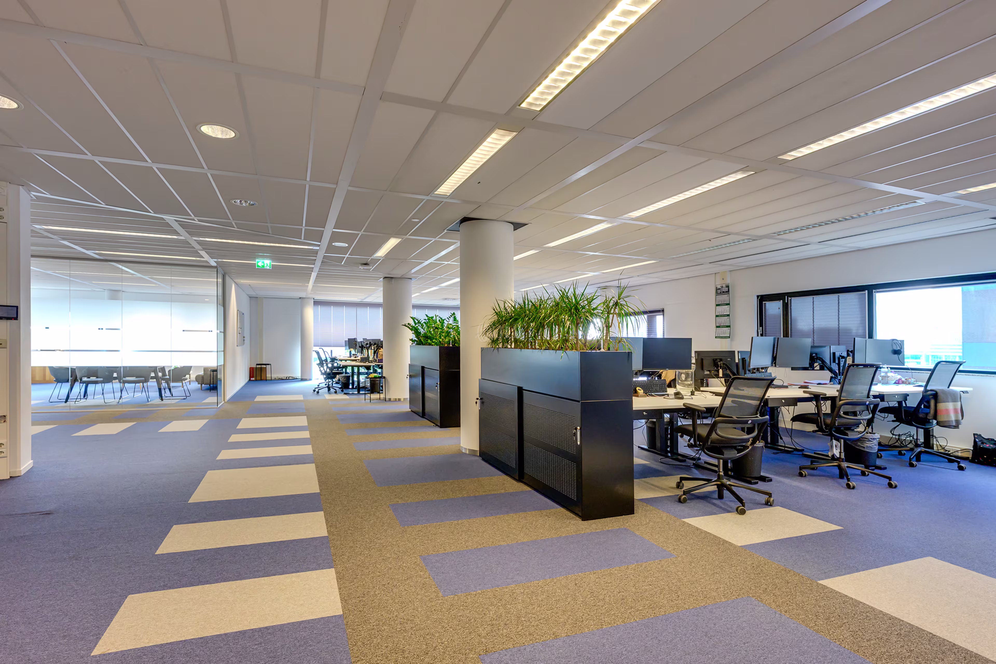 Willemsplein 489