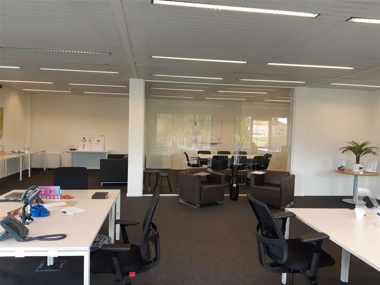 Bureau Erembodegem, 9320 - REGUS