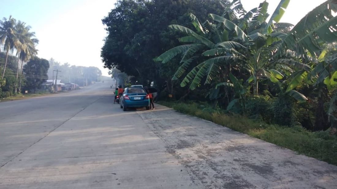 49 hectare Seafront Property - Sta. Cruz, Davao Del Sur 4_Property for Sale
