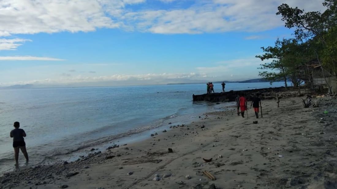 49 hectare Seafront Property - Sta. Cruz, Davao Del Sur 4_Property for Sale