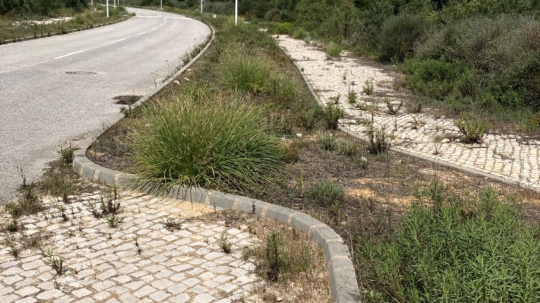 Quinta do Morgadinho 4_Actifs en vente