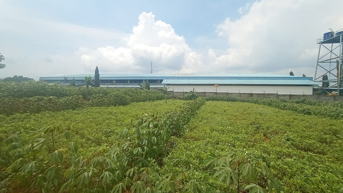 100 Ha Industrial Land in Subang 4_販売物件