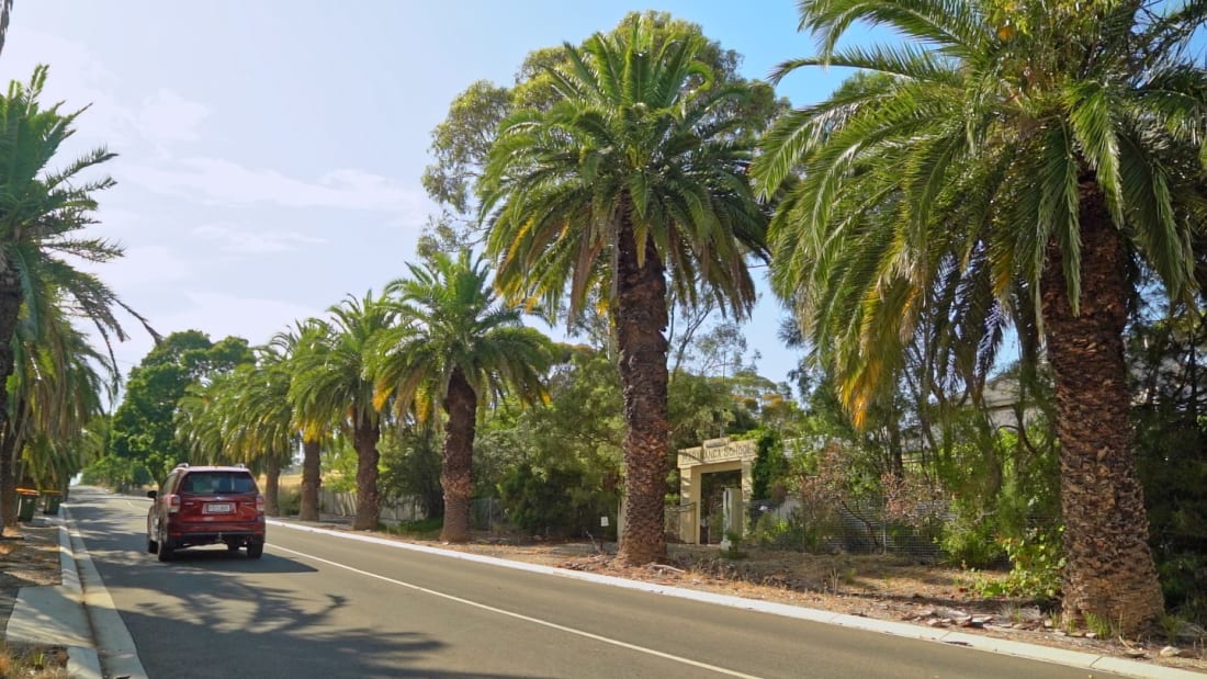 457 Seppeltsfield Road, Marananga 4_出售物業