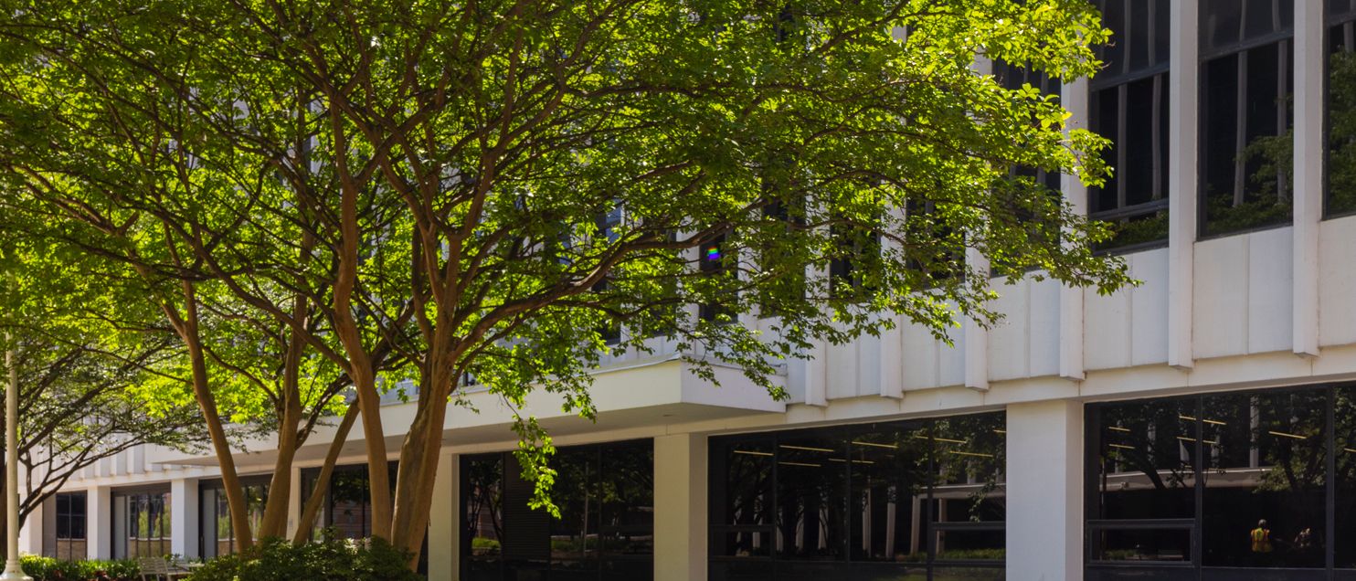 1501 & 1515 Wilson — Sale in Arlington, VA, photo 6 of 8