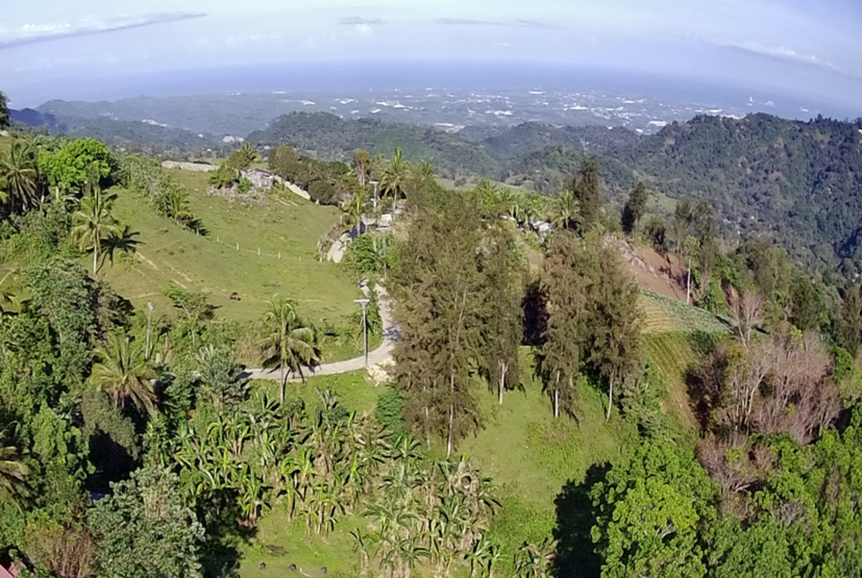 Pungol Sibugay, Cebu City Property Property For Sale Cebu JLL