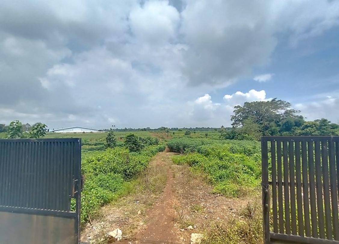 Investors eye triple netlease properties