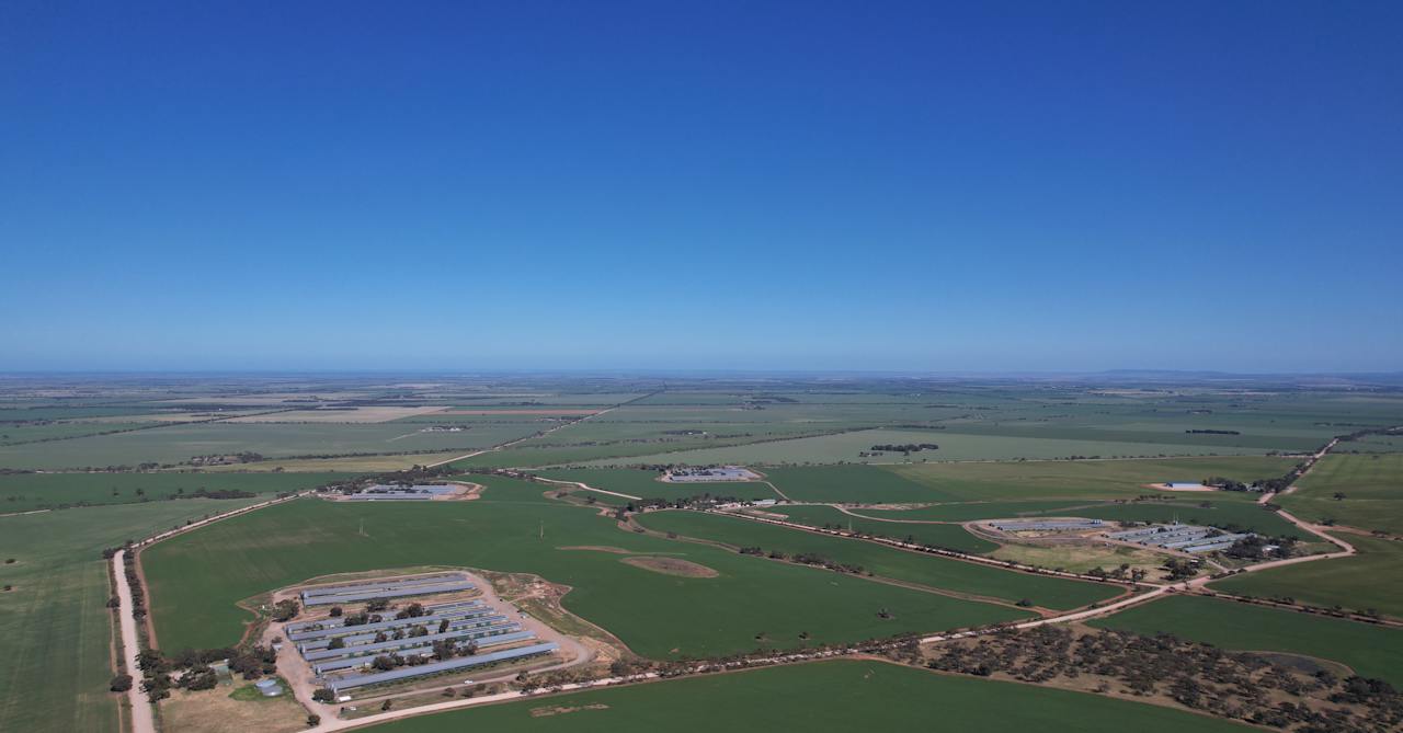 Southern Cross Poultry Owen Property for Sale NL