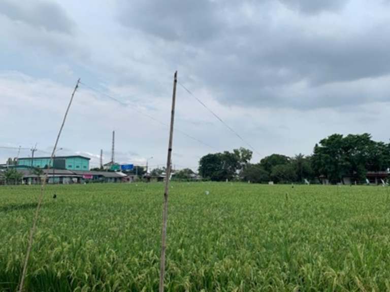 Asset for Sale in Karawang_Property for Sale