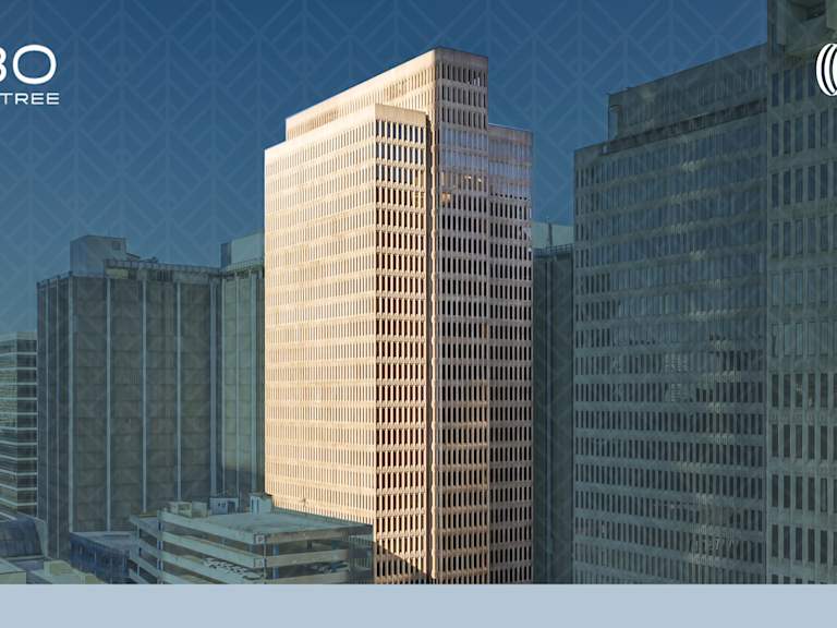 230 Peachtree_Property for Sale