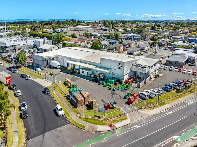 9 Noel Burnside Road, Wiri_Property for Sale