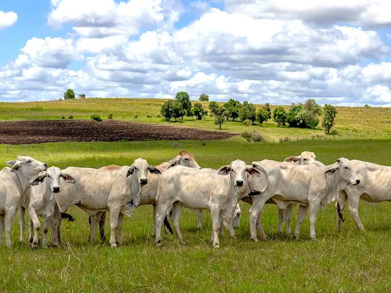 Melinya_Property for Sale