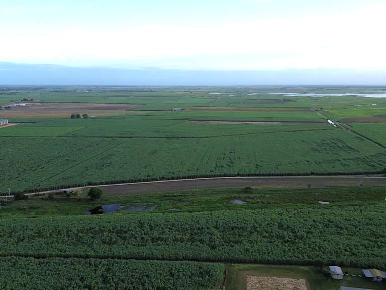 Brandon Sugarcane Aggregation_Property for Sale