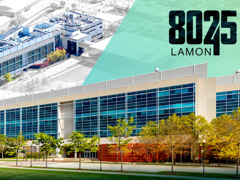 8025 &amp; 8045 Lamon_Property for Sale