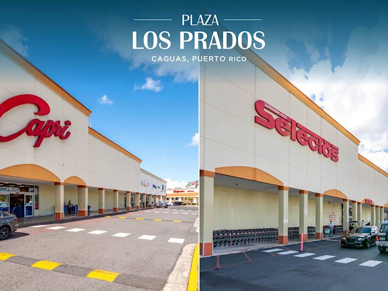 Plaza Los Prados_Property for Sale