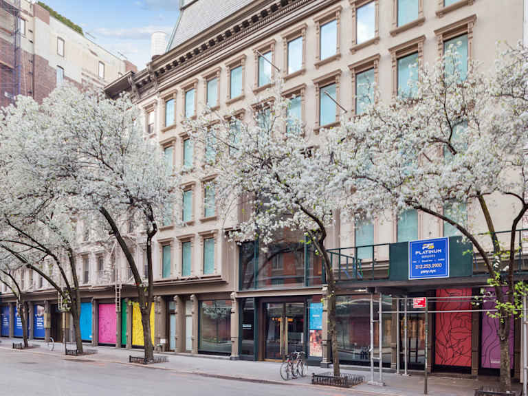 The Rubin Museum_Property for Sale