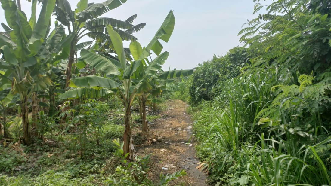 Industrial Land For Sale in Jl Raya Bogor 4_Property for Sale