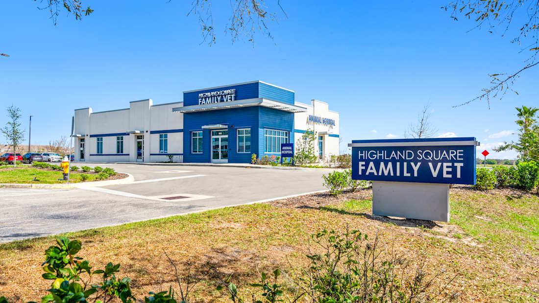 HVP Net Lease Portfolio 4_Property for Sale