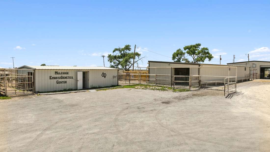 Muleshoe Animal Clinic &amp; Vet Supply in Muleshoe, TX 4_Property for Sale