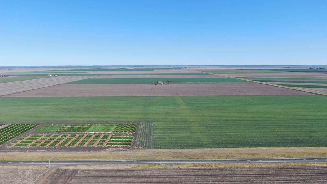 McIntyre Aggregation 4_Property for Sale