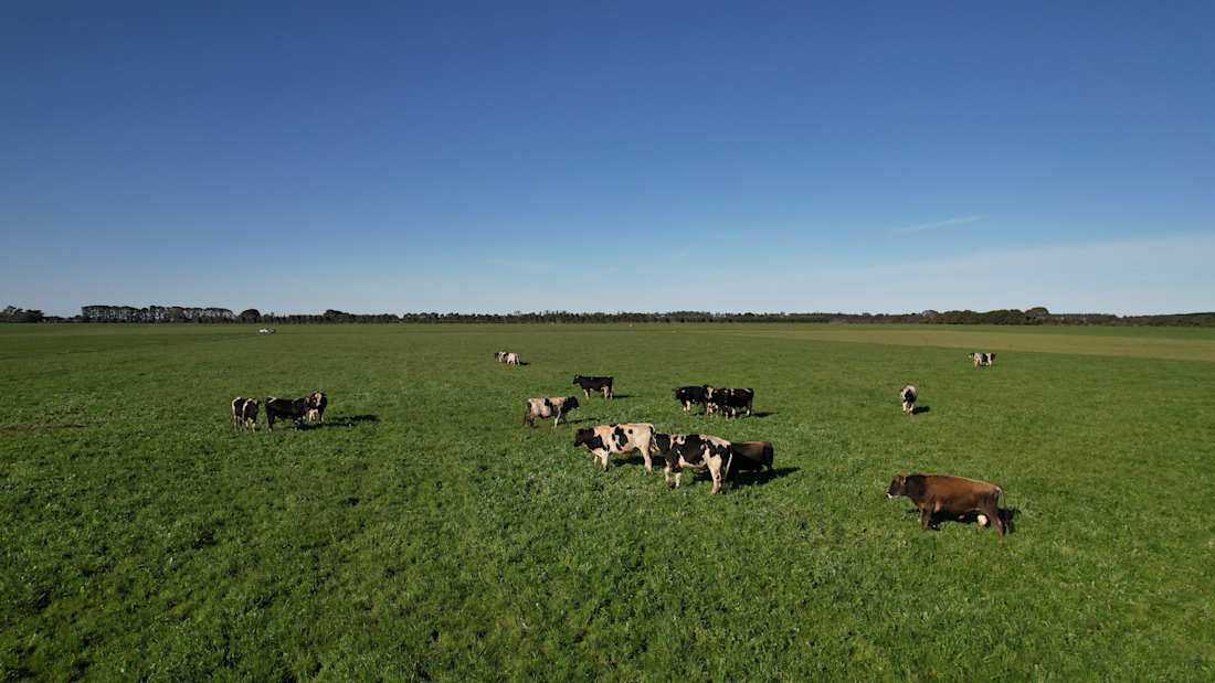 Duncraig  4_판매용 부동산