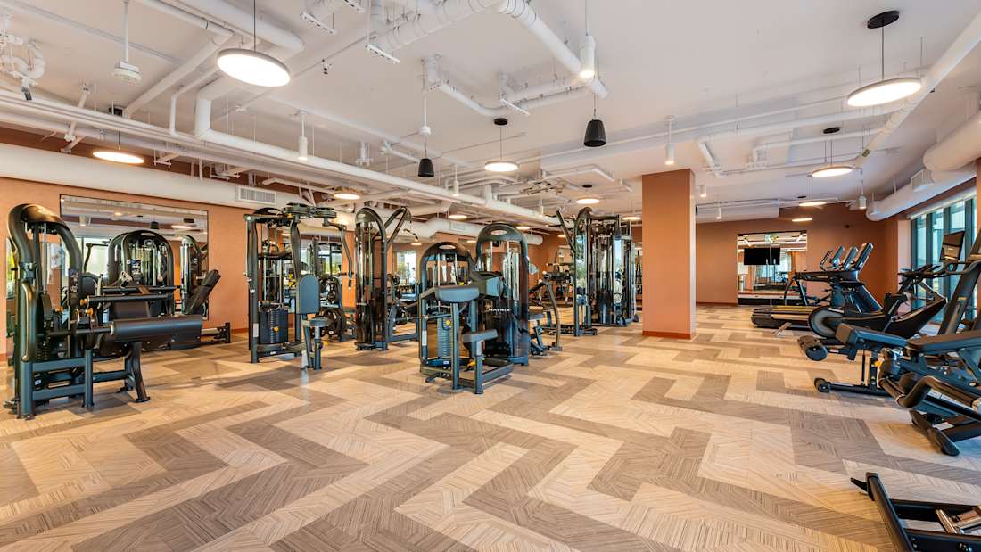 Belle on Bev 4_Property for Sale