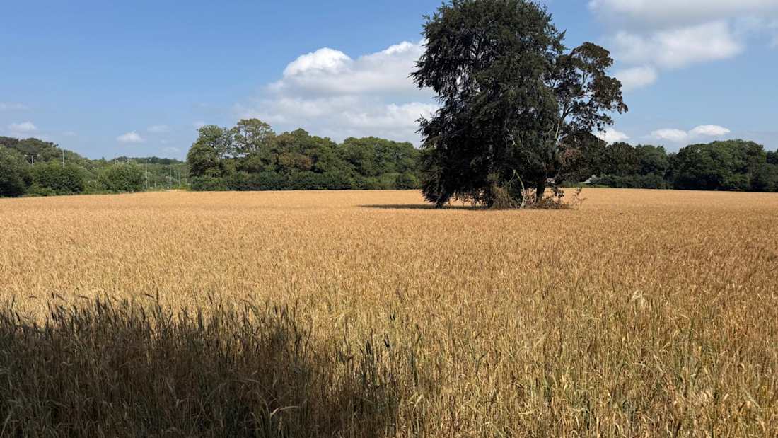 Land adjacent to Ashton Way, Leybourne, West Malling 4_Property for Sale