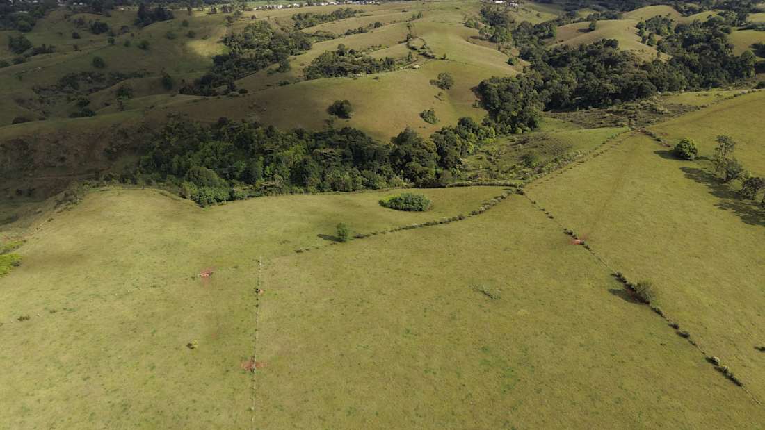 5359 Palmerston Highway, Millaa Millaa | Offers over $800,000 4_出售物業