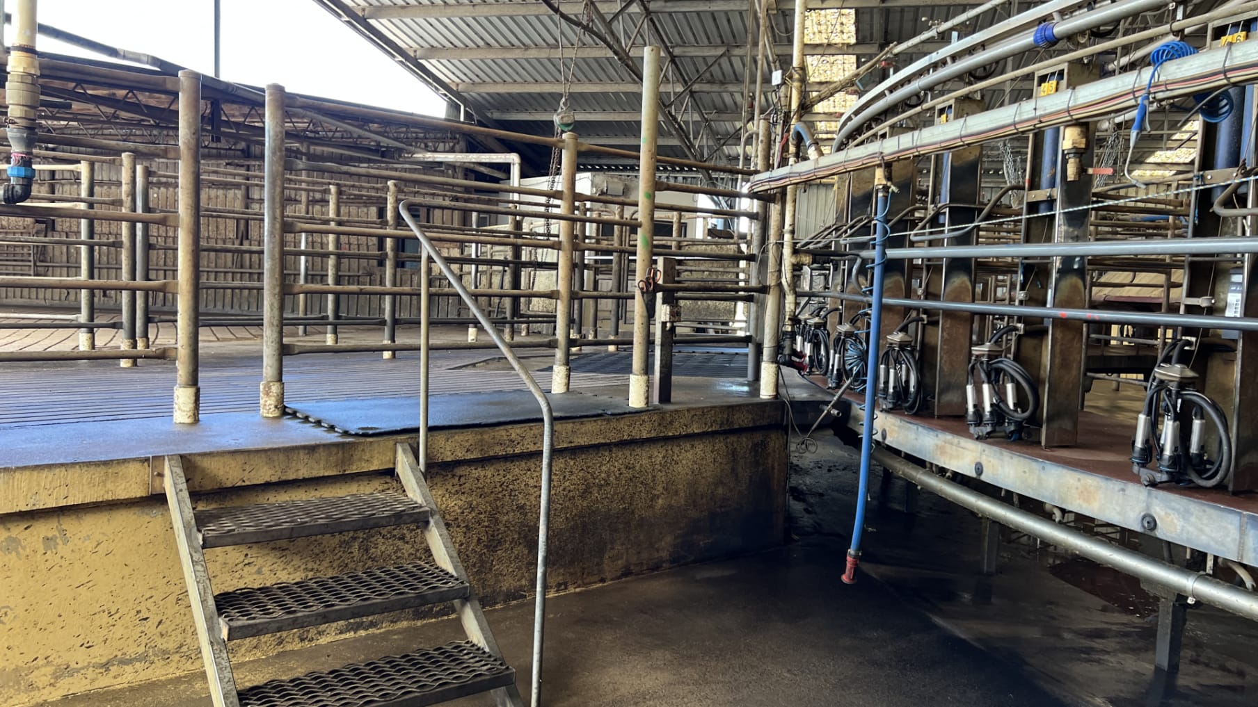 Conveys Dairy 5_Propiedad en venta