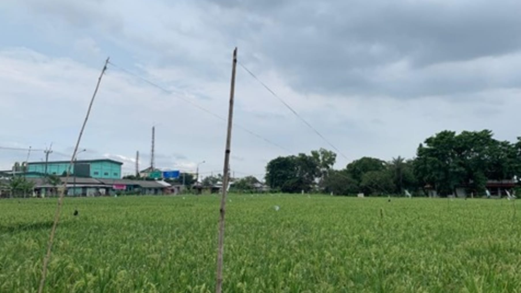 Asset for Sale in Karawang_Property for Sale