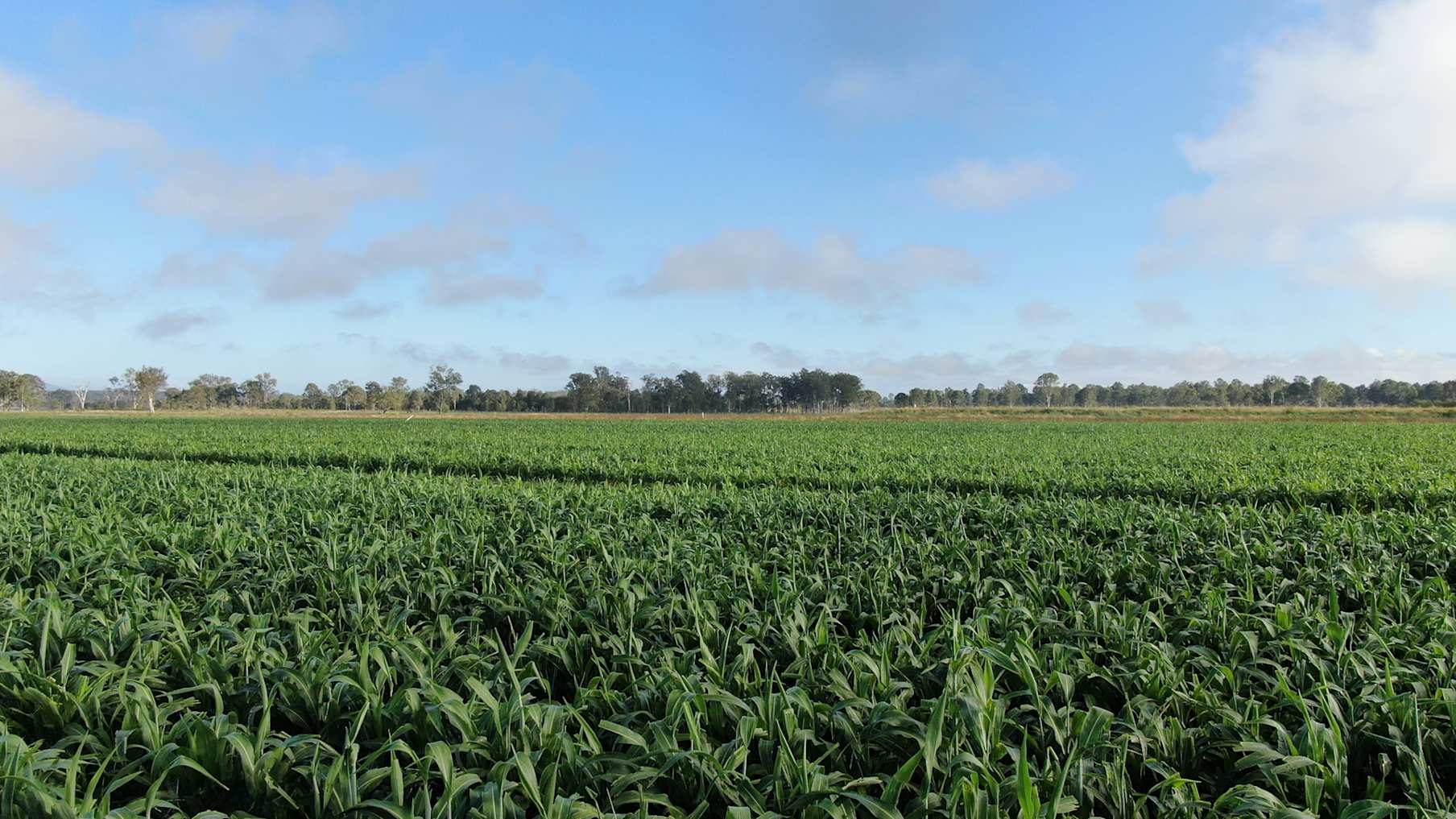 Lockyer Creek Farm  5_Property for Sale